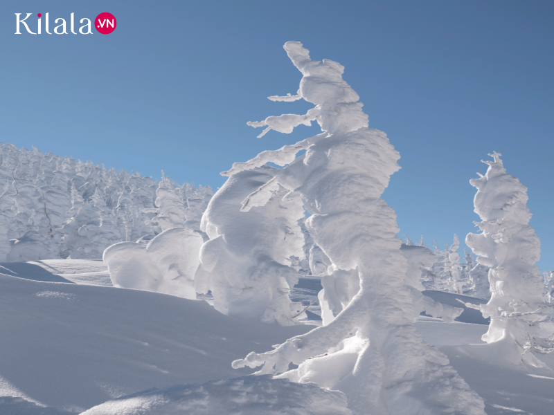 quái vật núi Zao